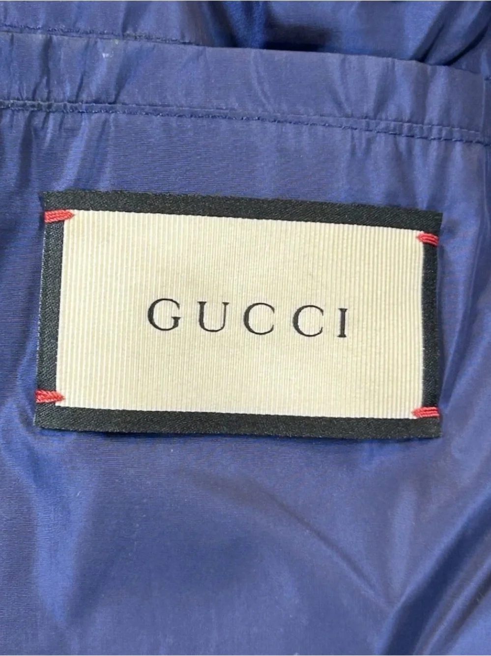 Gucci Space Snake Nylon Webbed Windbreaker